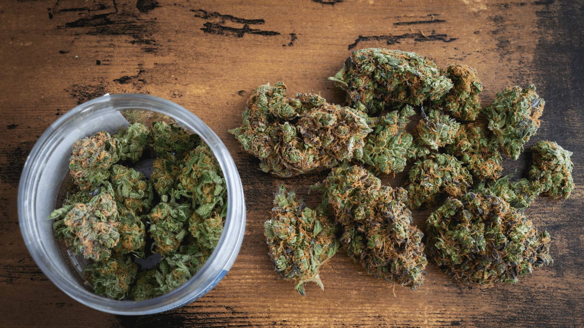 Cannabis club hamburg – Fair, legal &amp; gemeinschaftlich